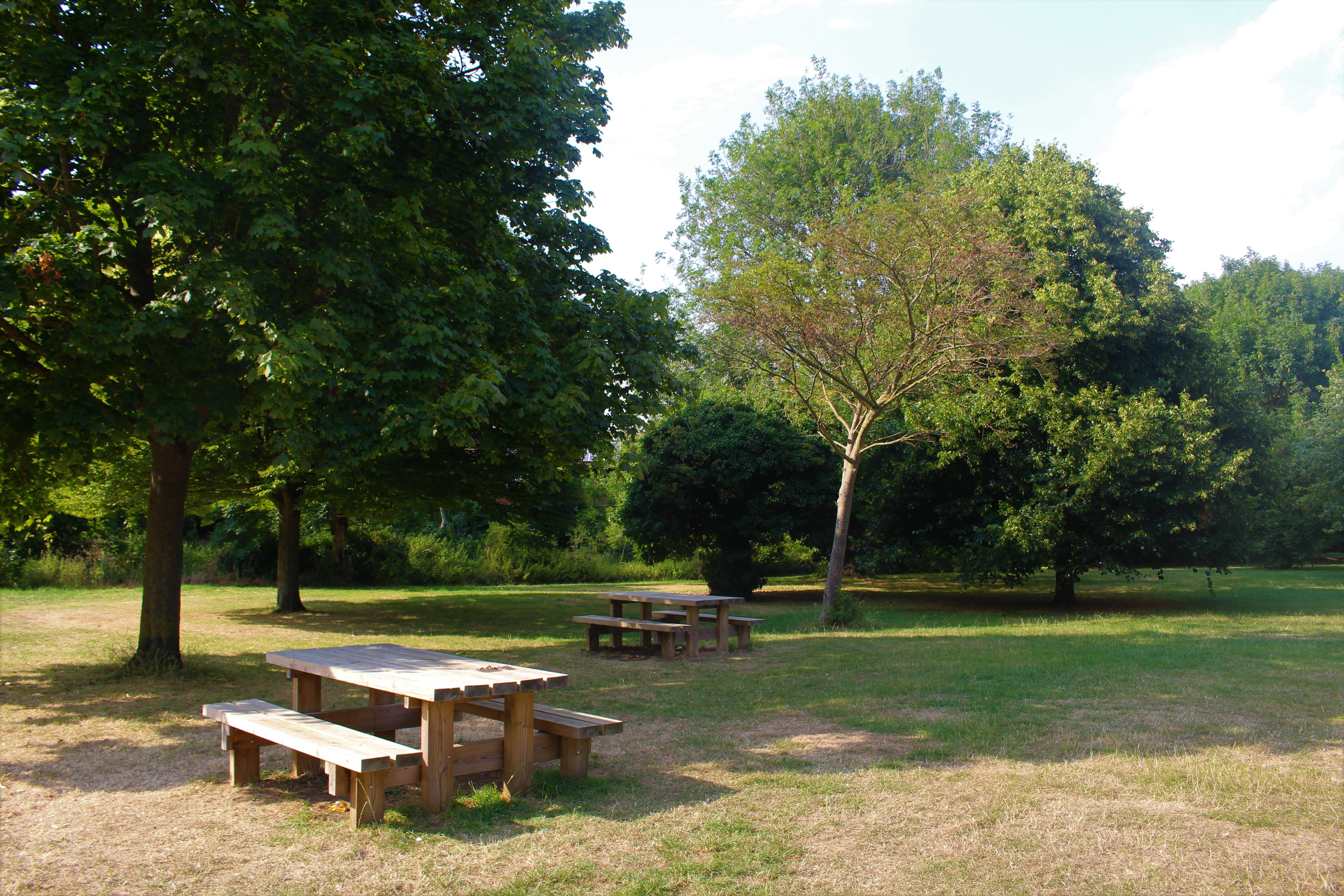Picnic area in Queen Elizabeth Park