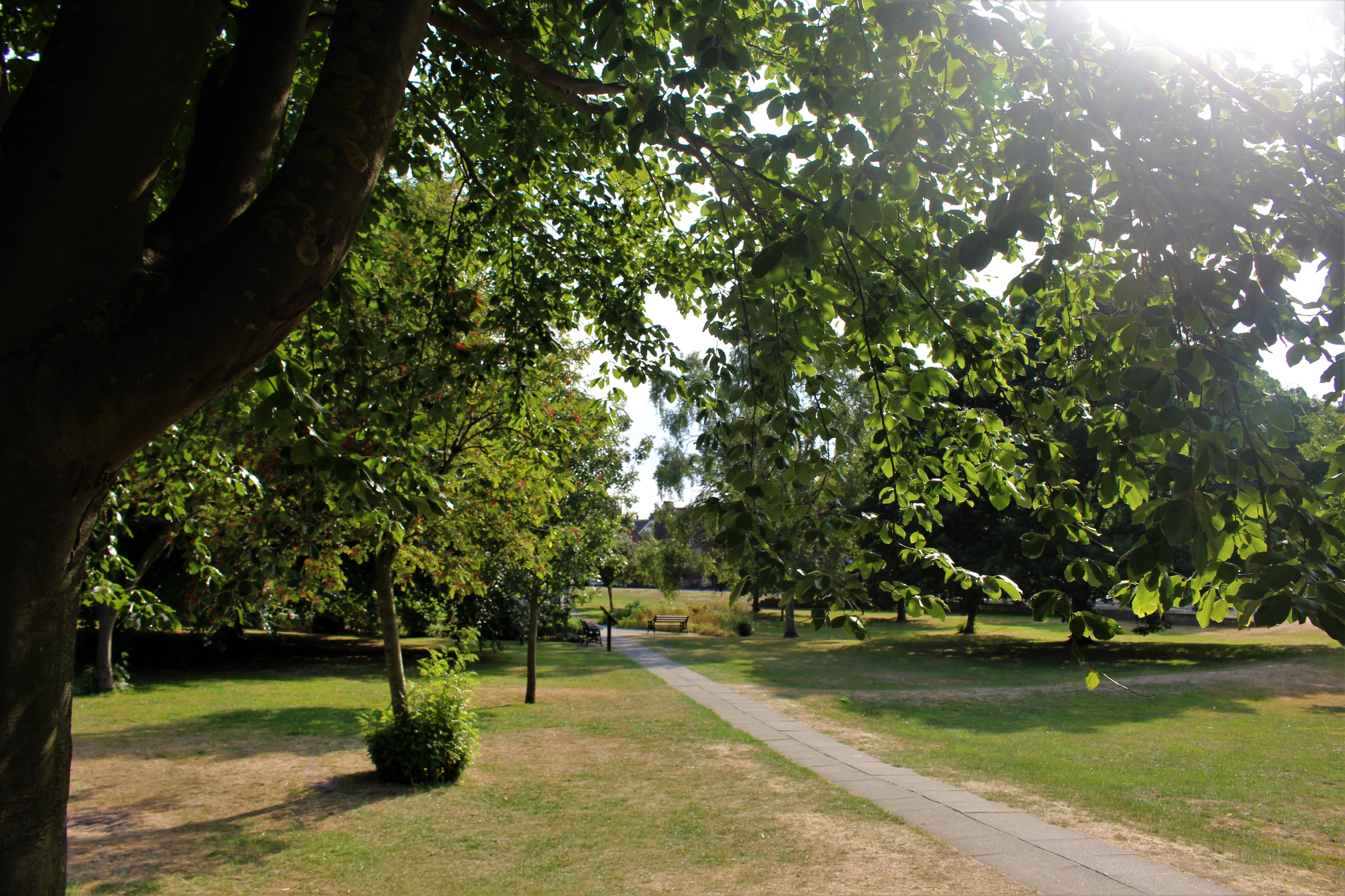 Wyndham Park Greenery