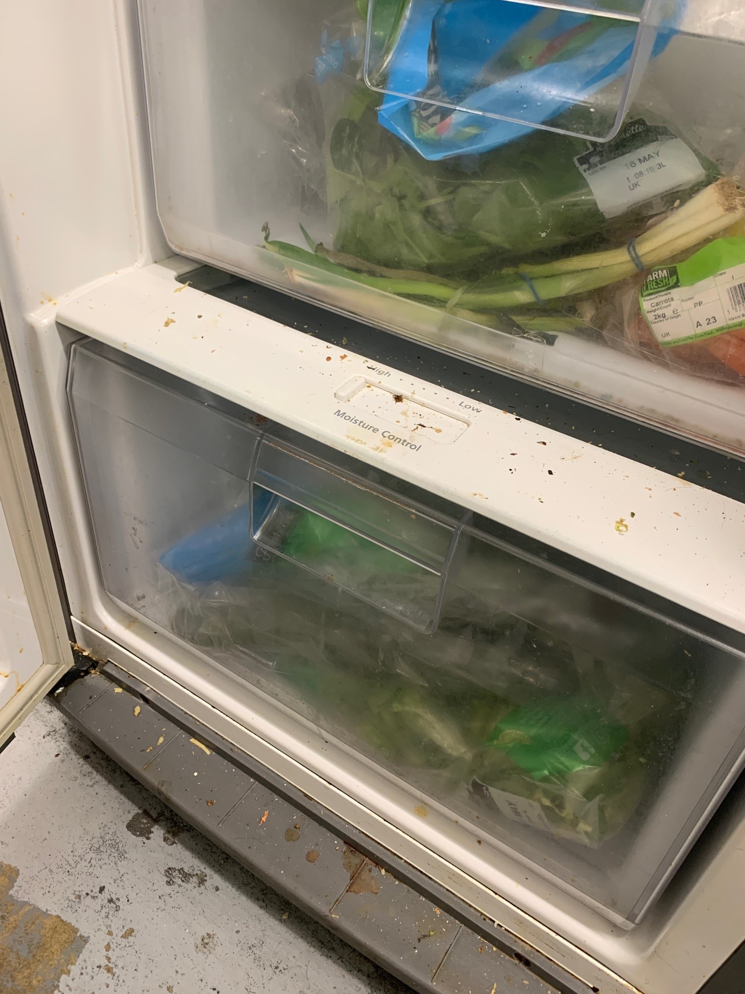 Oblios evidence, dirty fridge